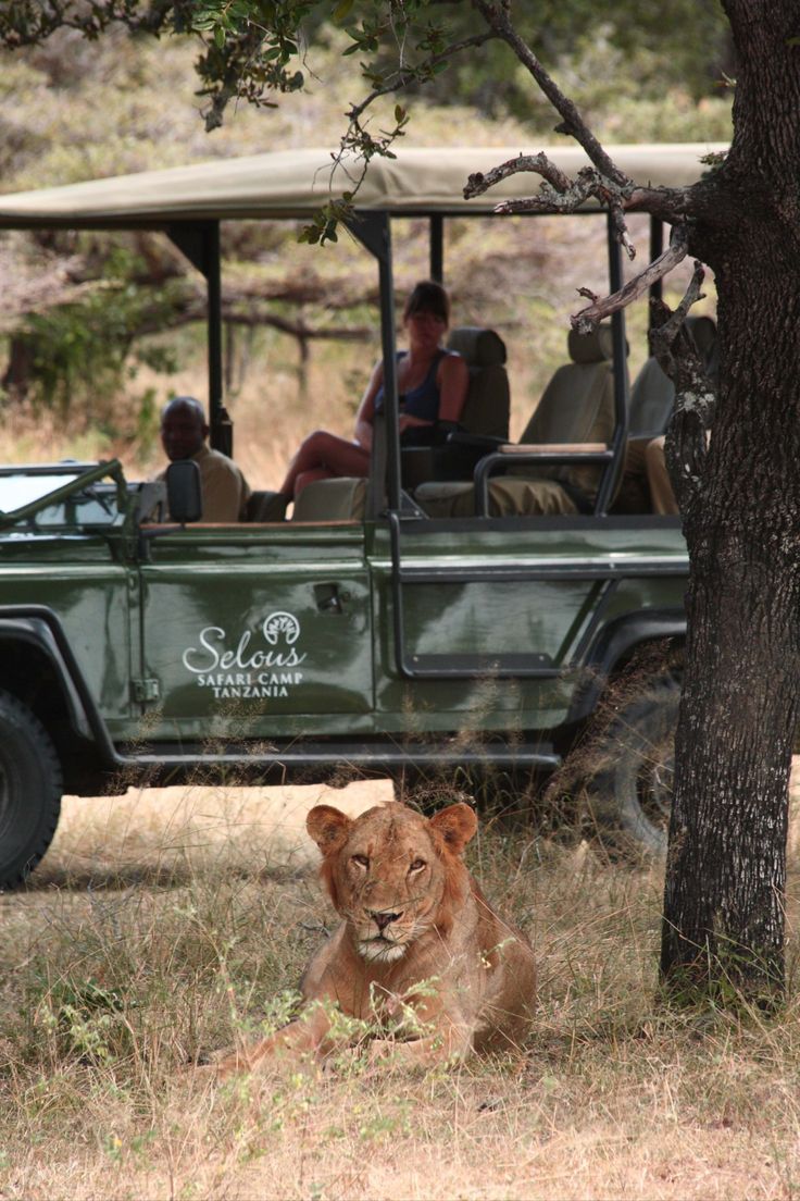 3-Day Fly-in from Zanzibar/Dar to Nyerere National Park